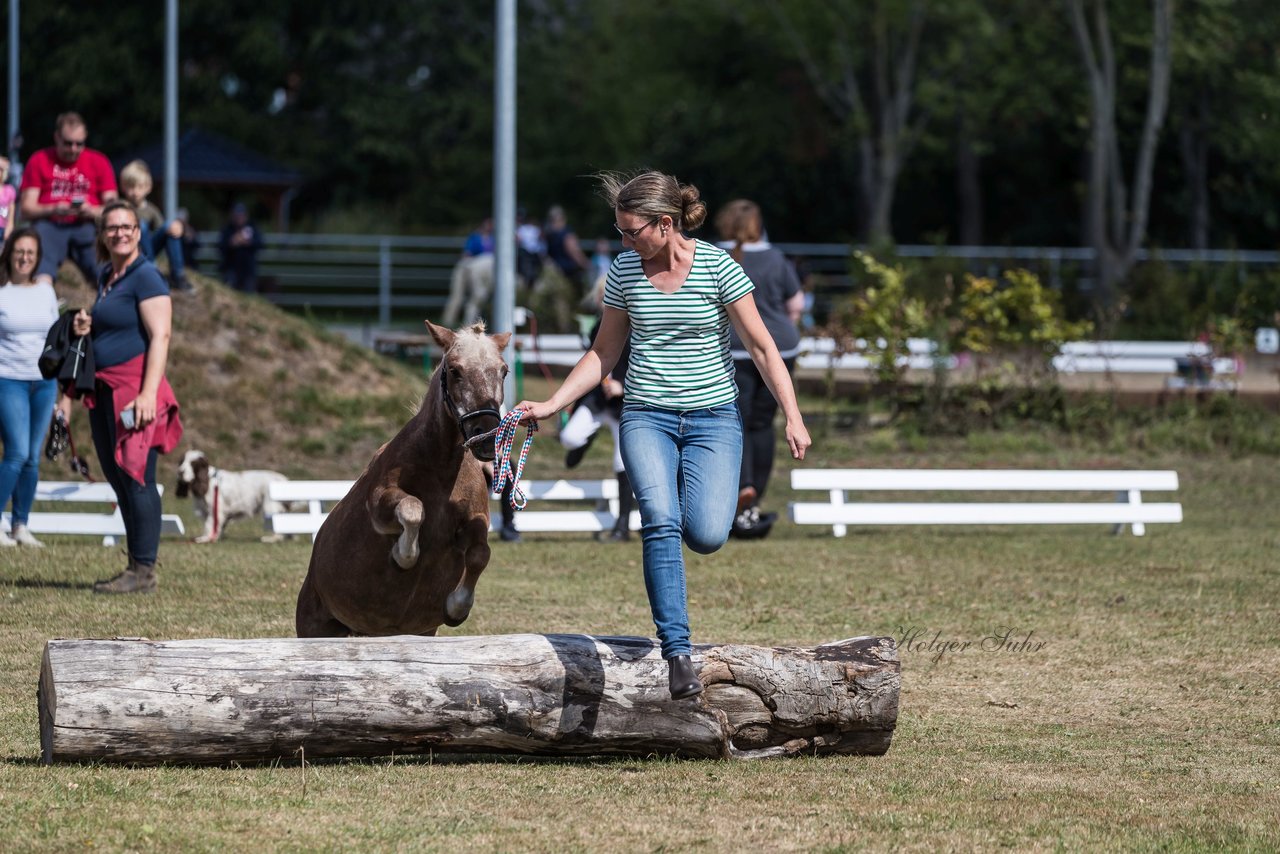 Bild 10 - Pony Akademie Turnier